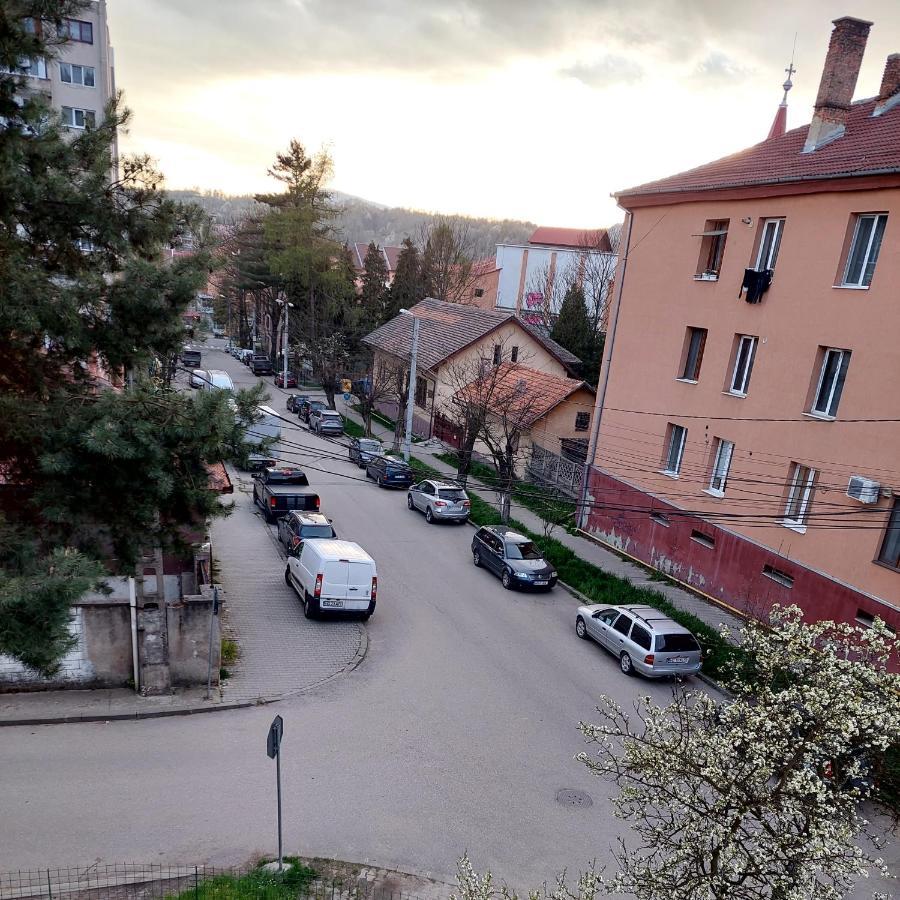 Fely Room Petroşani Eksteriør billede